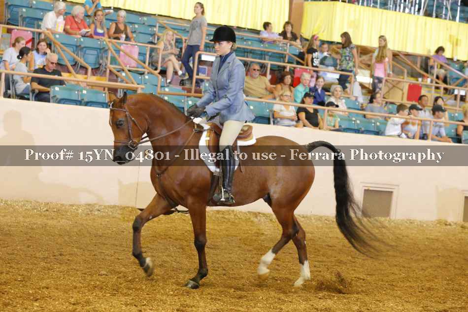 Proof 15YN_04801