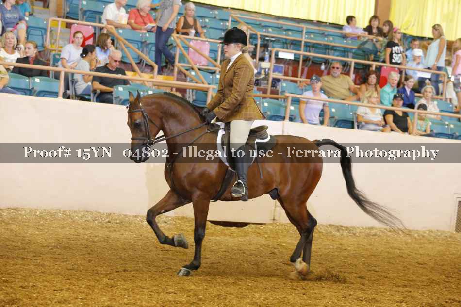 Proof 15YN_04802
