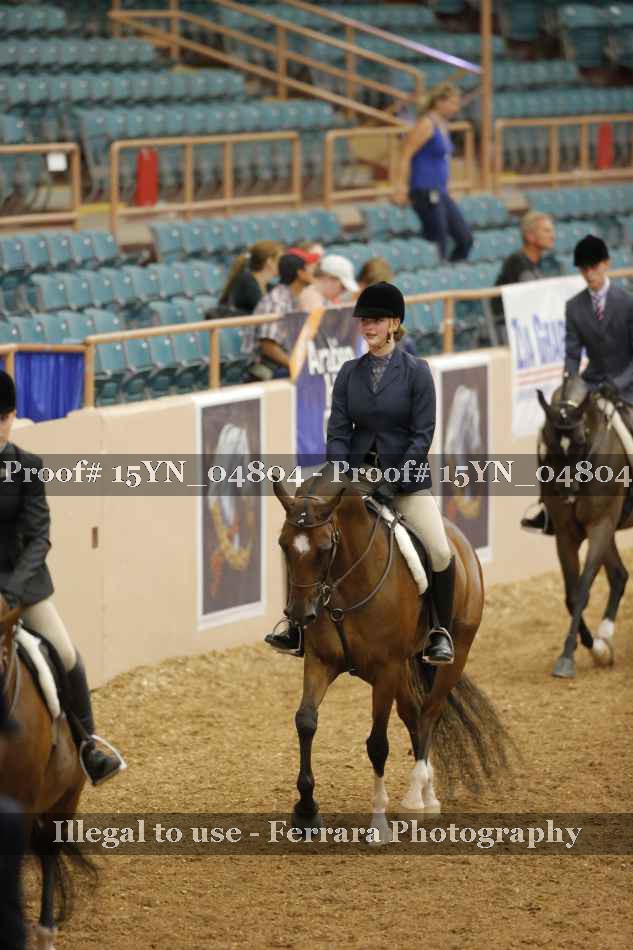 Proof 15YN_04804