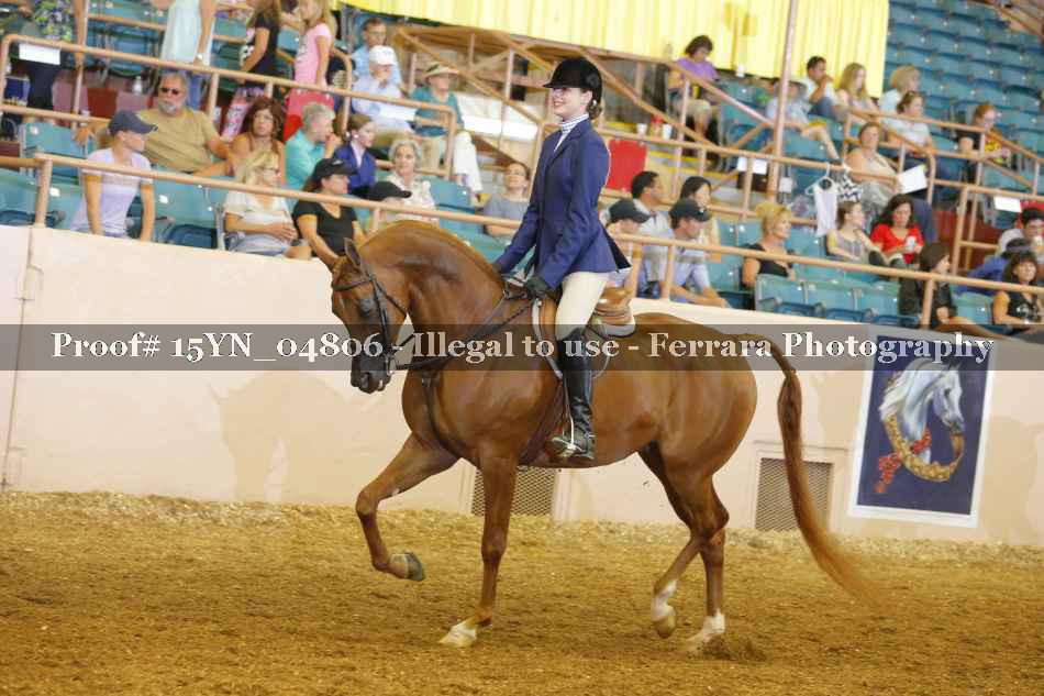 Proof 15YN_04806