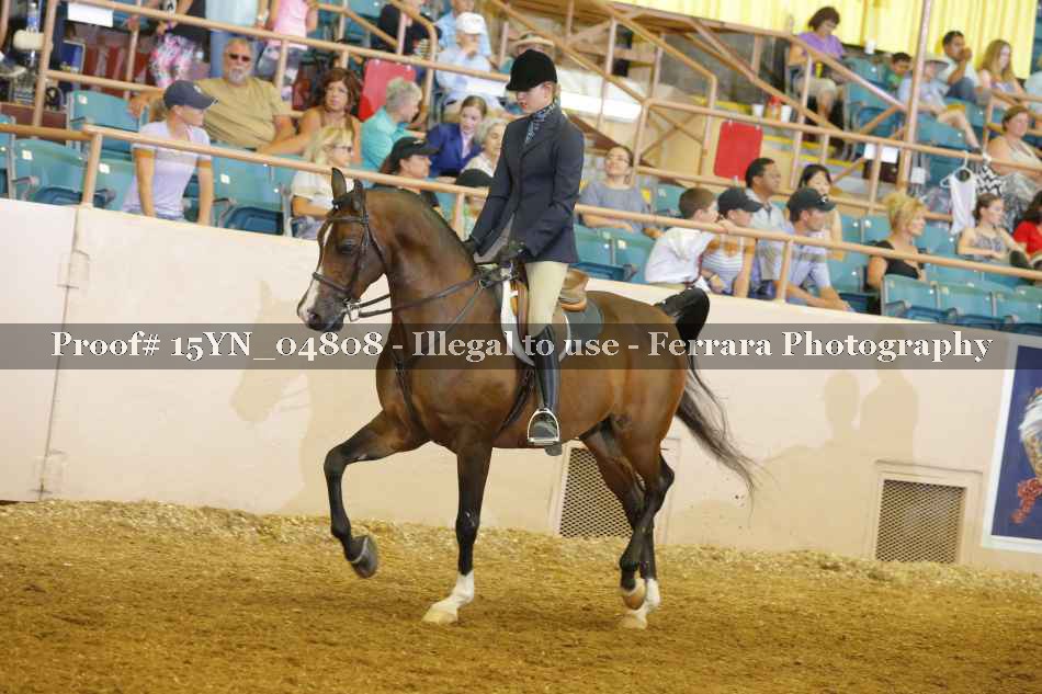 Proof 15YN_04808