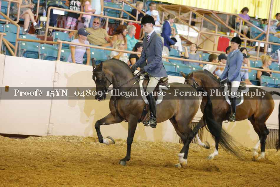 Proof 15YN_04809