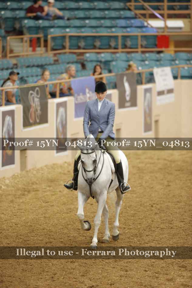 Proof 15YN_04813