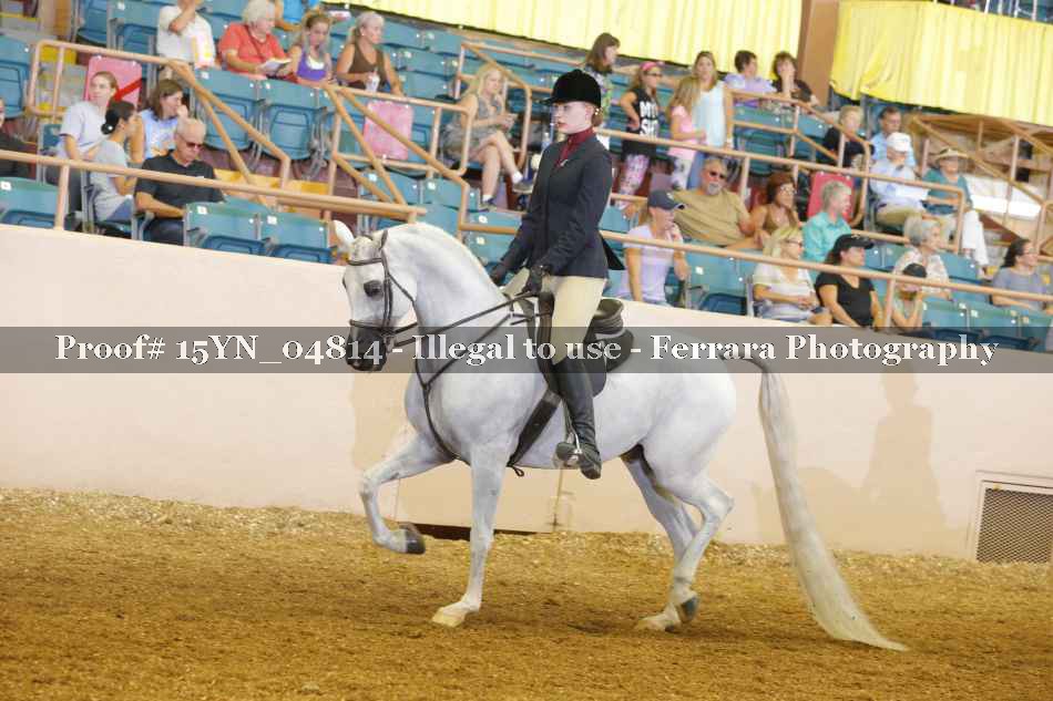 Proof 15YN_04814