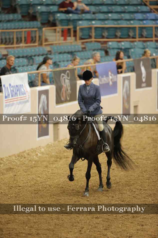 Proof 15YN_04816