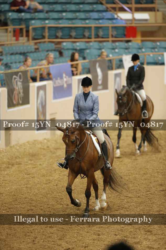Proof 15YN_04817