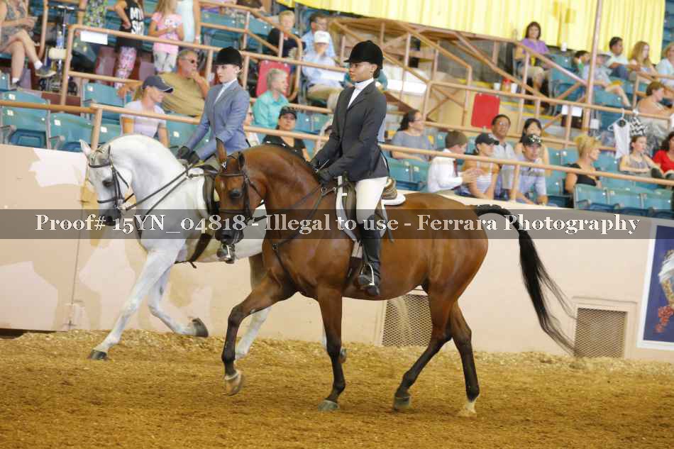 Proof 15YN_04818
