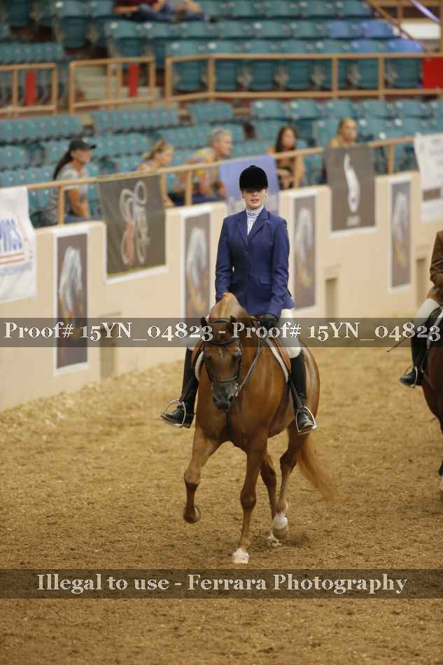 Proof 15YN_04823