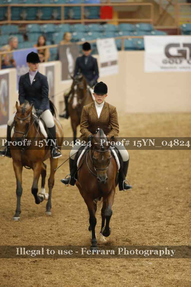 Proof 15YN_04824