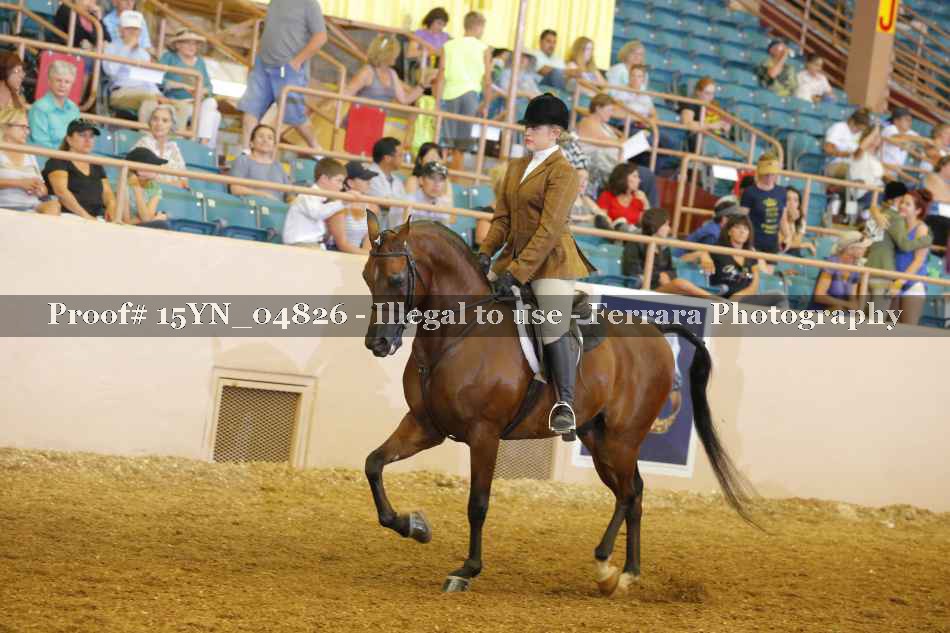 Proof 15YN_04826