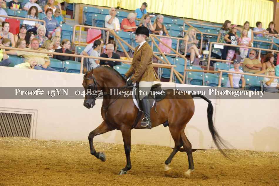 Proof 15YN_04827