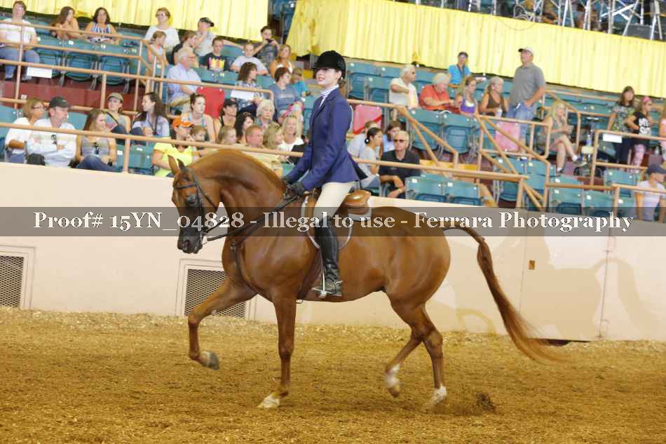 Proof 15YN_04828