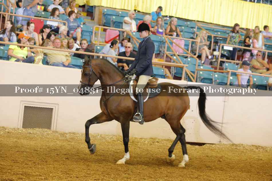 Proof 15YN_04831