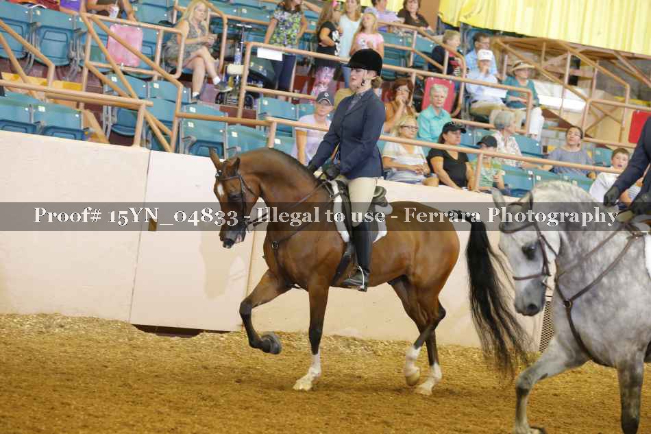 Proof 15YN_04833