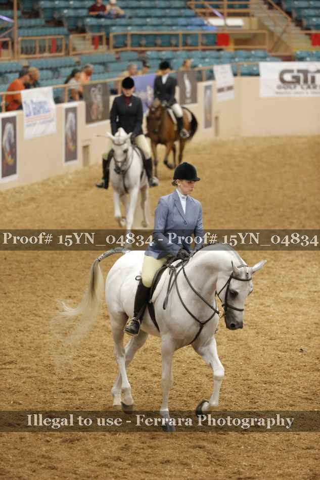 Proof 15YN_04834
