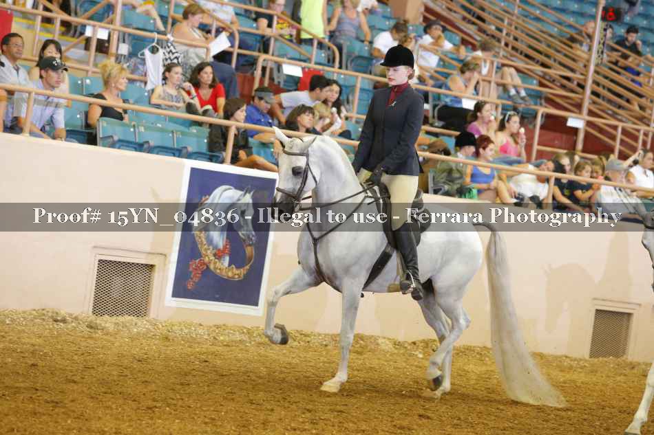 Proof 15YN_04836