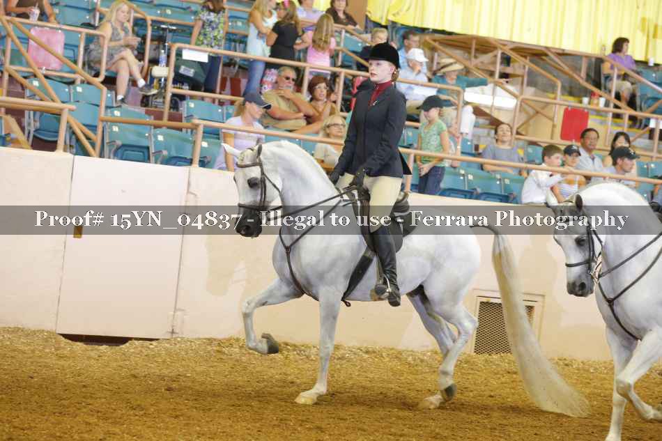 Proof 15YN_04837