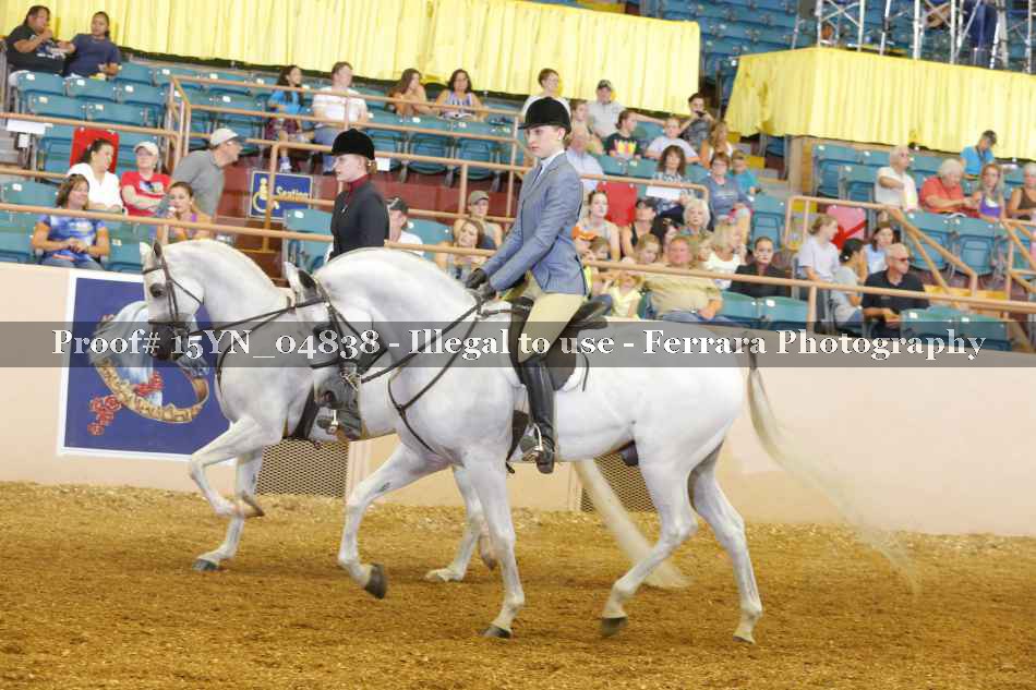 Proof 15YN_04838