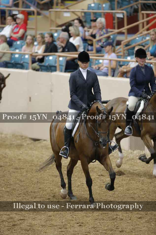 Proof 15YN_04841