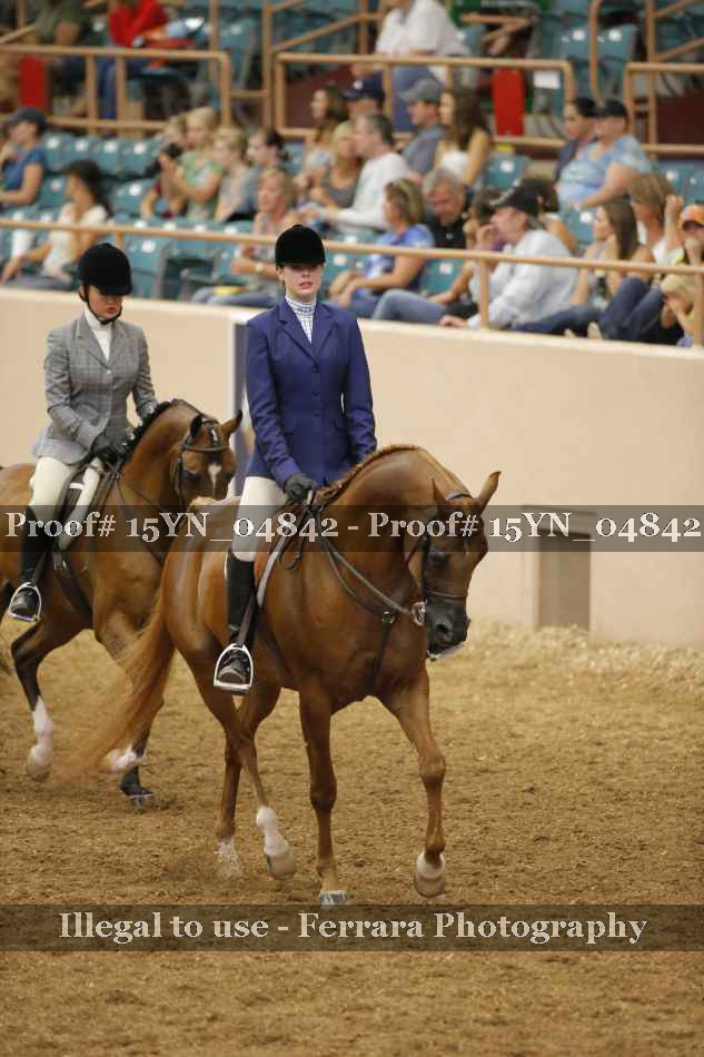 Proof 15YN_04842