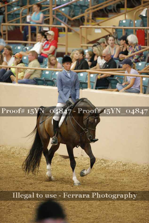 Proof 15YN_04847