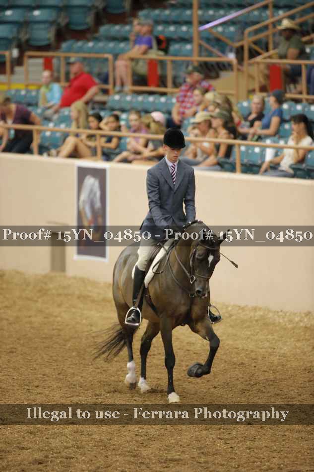 Proof 15YN_04850