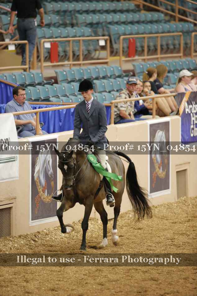 Proof 15YN_04854