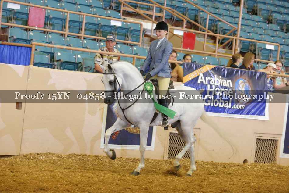 Proof 15YN_04858