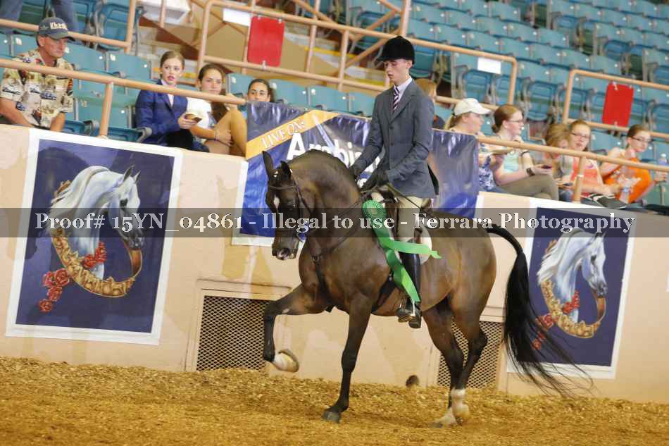 Proof 15YN_04861