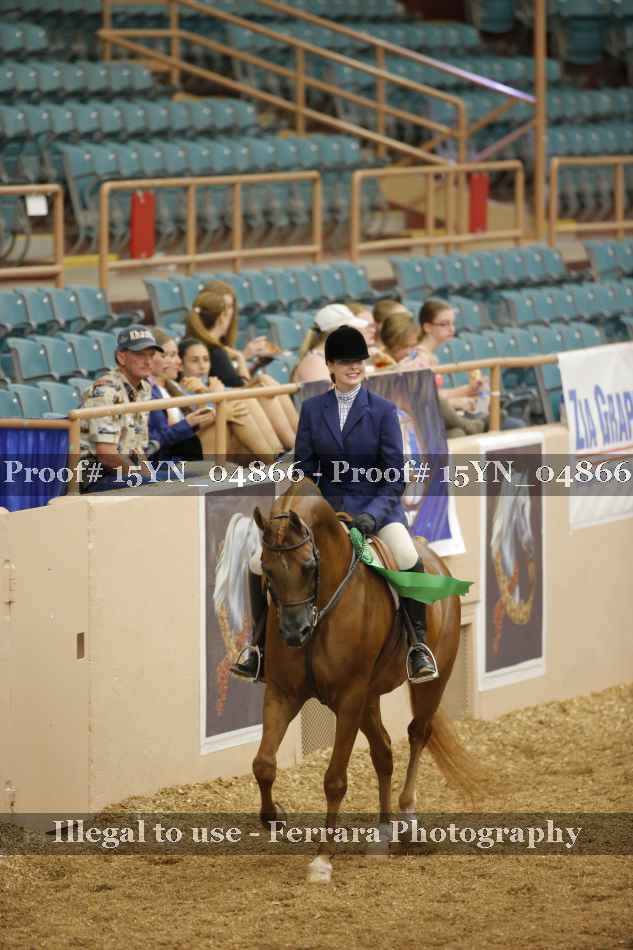 Proof 15YN_04866