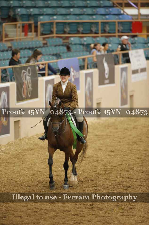 Proof 15YN_04873