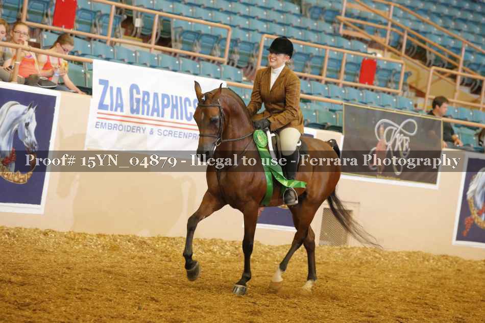 Proof 15YN_04879