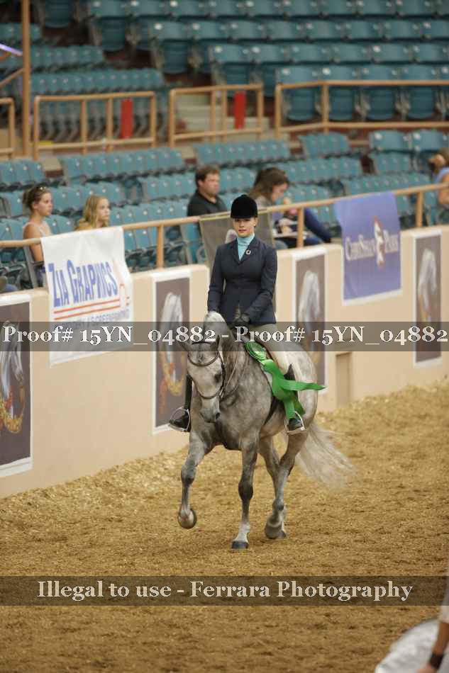 Proof 15YN_04882