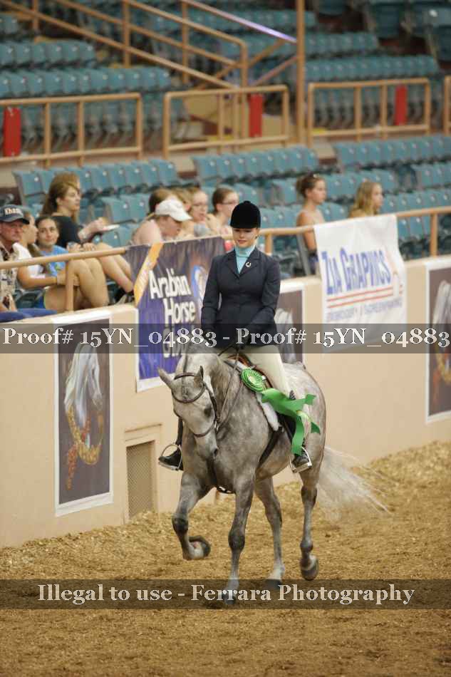 Proof 15YN_04883