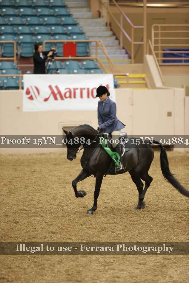 Proof 15YN_04884