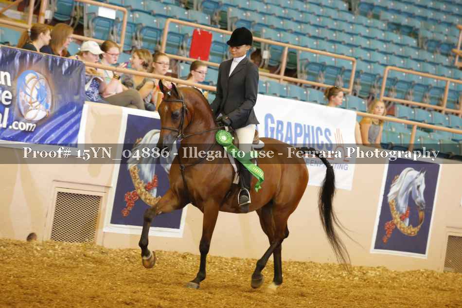 Proof 15YN_04886