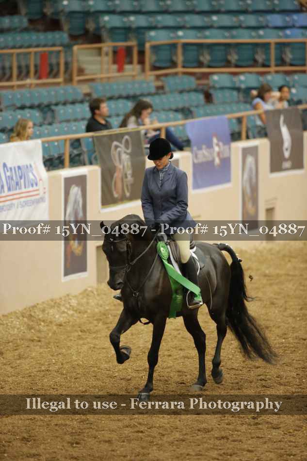 Proof 15YN_04887