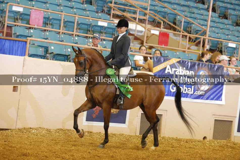 Proof 15YN_04888