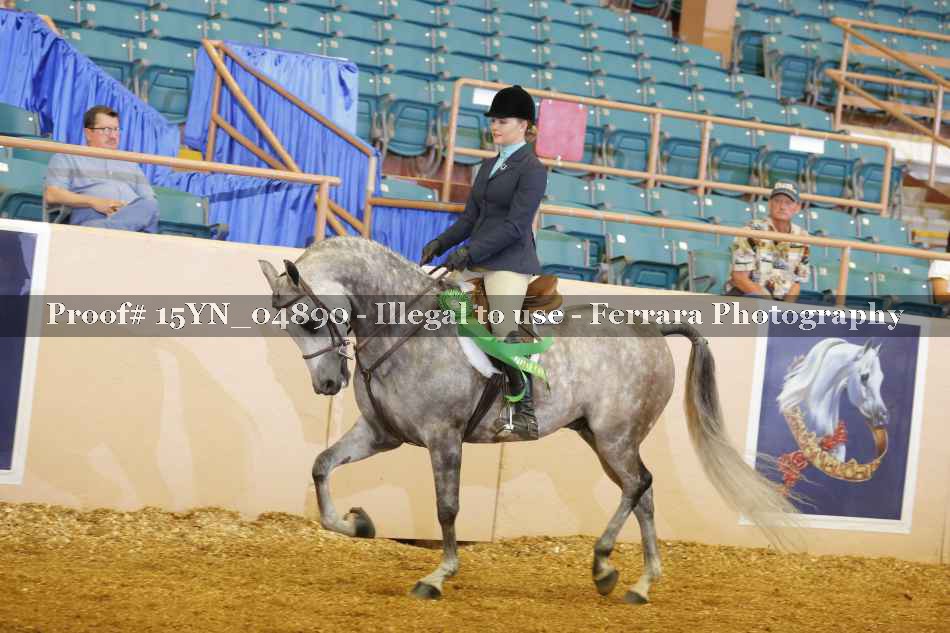 Proof 15YN_04890