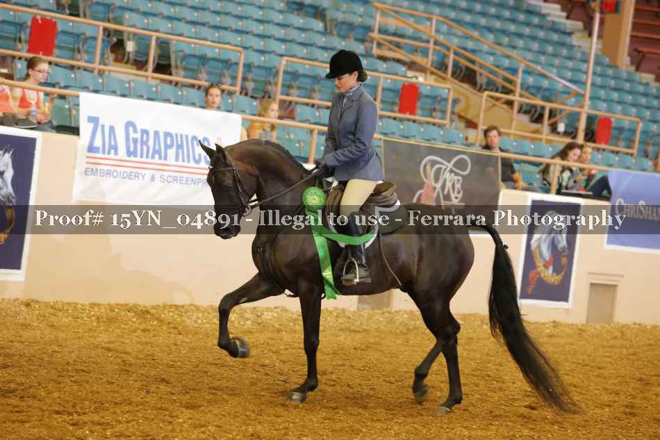 Proof 15YN_04891