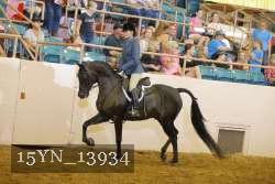 15YN_13934 proof