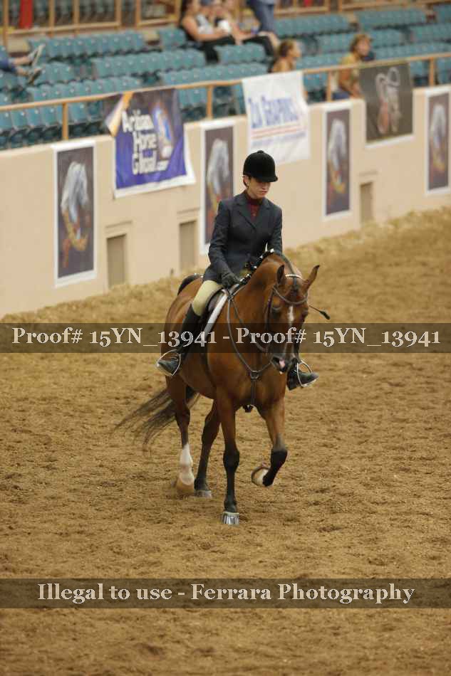 Proof 15YN_13941