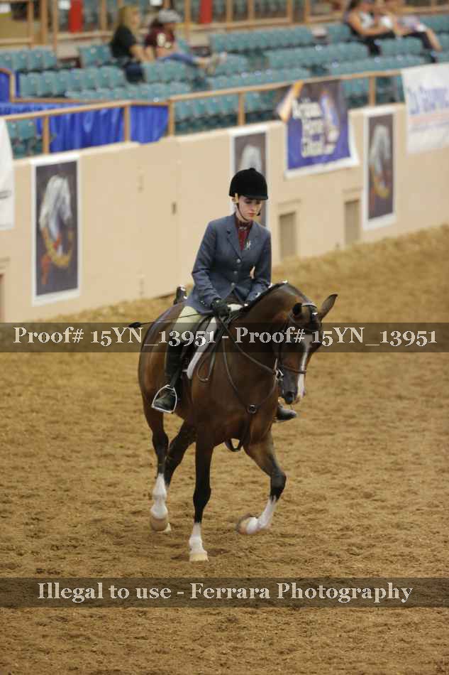 Proof 15YN_13951