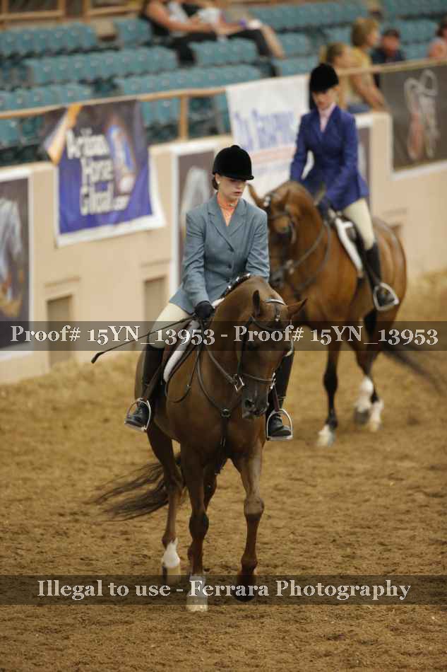 Proof 15YN_13953