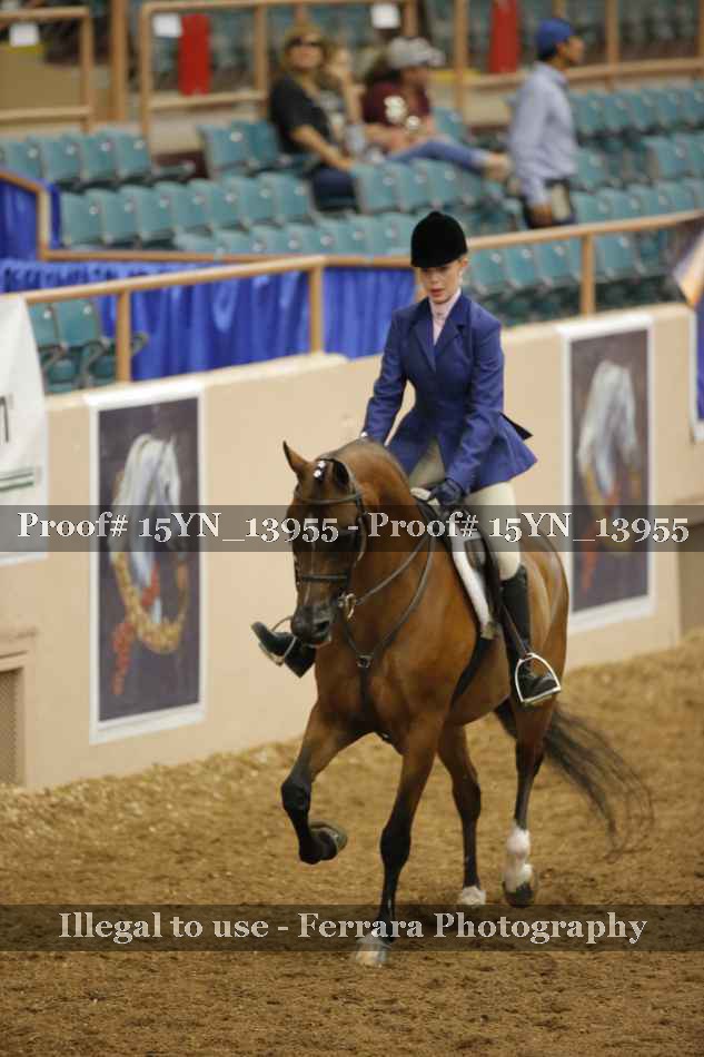 Proof 15YN_13955