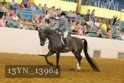 15YN_13964 proof