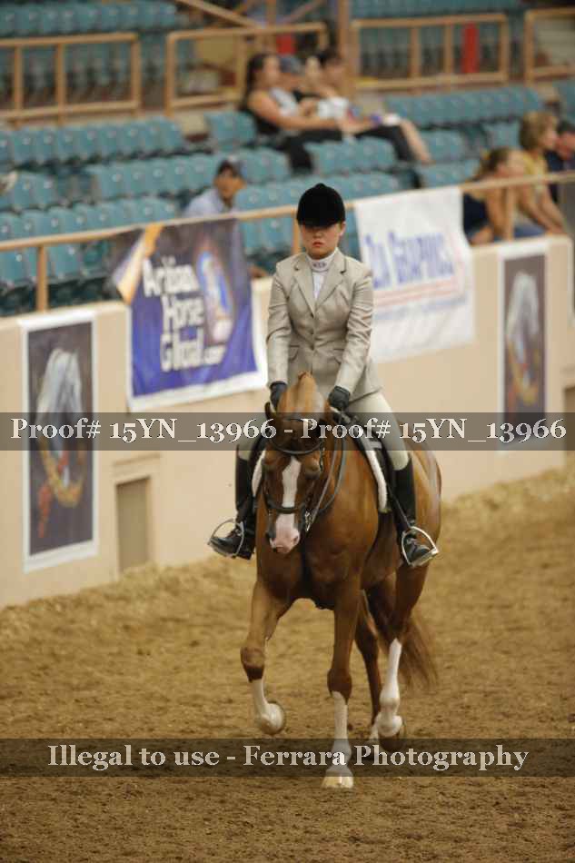 Proof 15YN_13966