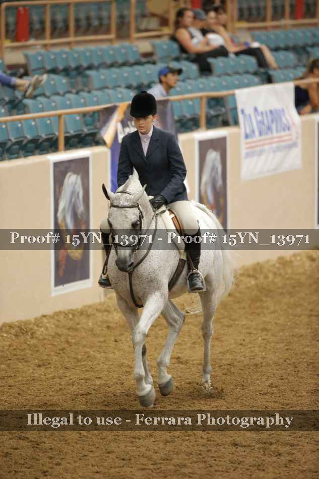 Proof 15YN_13971