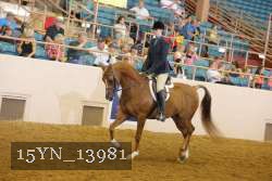 15YN_13981 proof