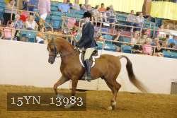 15YN_13983 proof